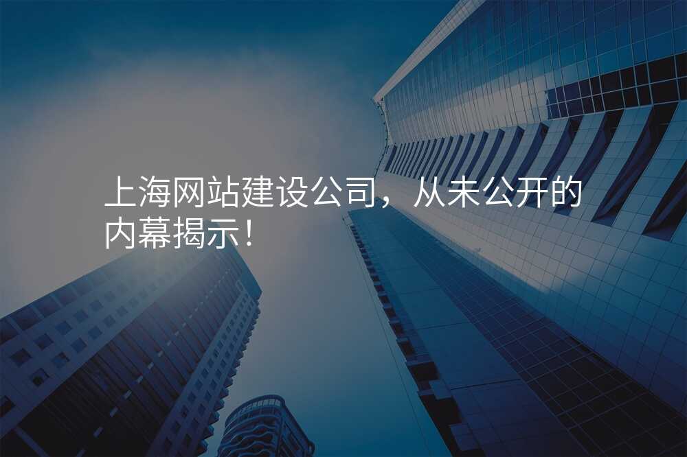 上海网站建设公(gōng)司,从未公(gōng)开的内幕揭示!